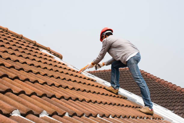 Best Solar Panel Roofing Installation  in Northvale, NJ